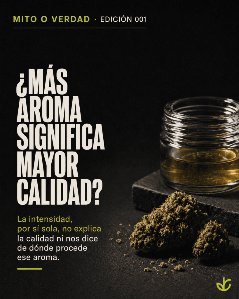 Portada editorial sobre el aroma y la calidad del CBD, con un tarro de resina