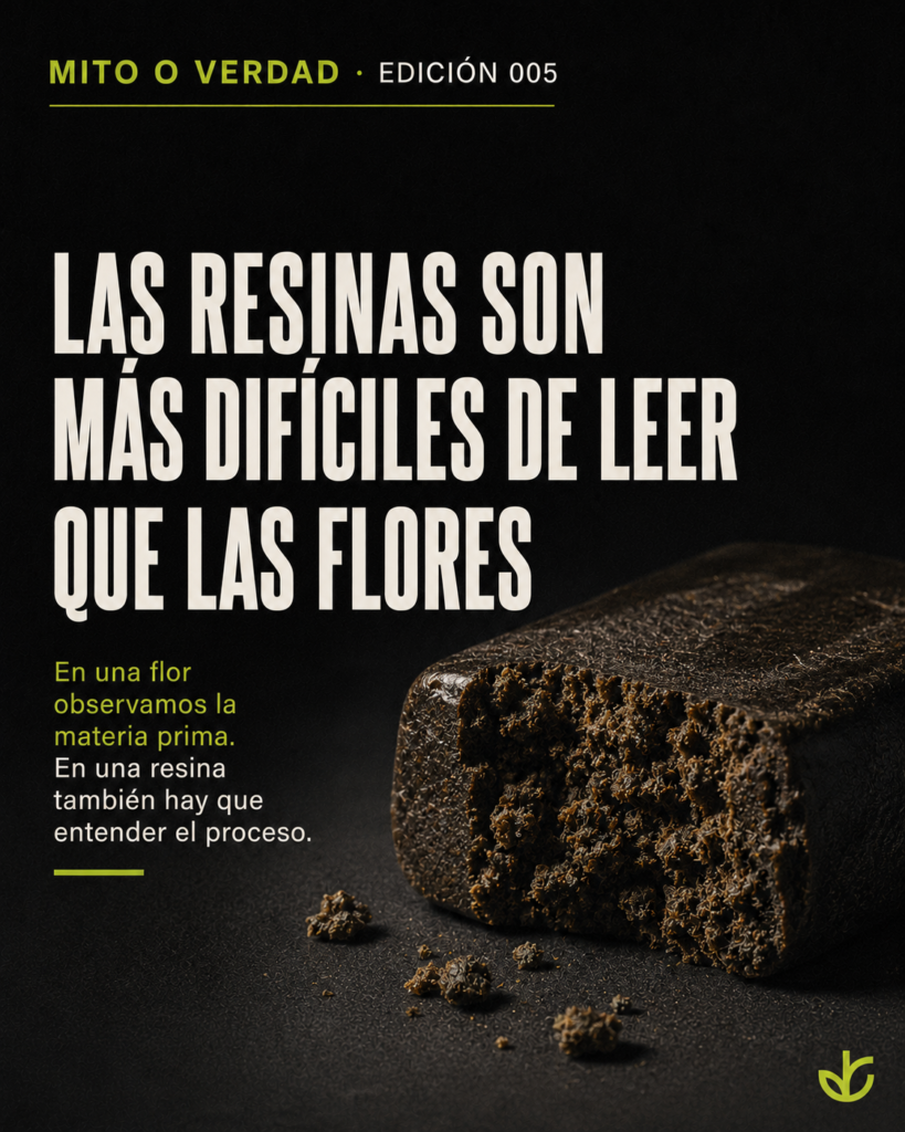 Portada editorial sobre cómo reconocer una resina CBD de calidad