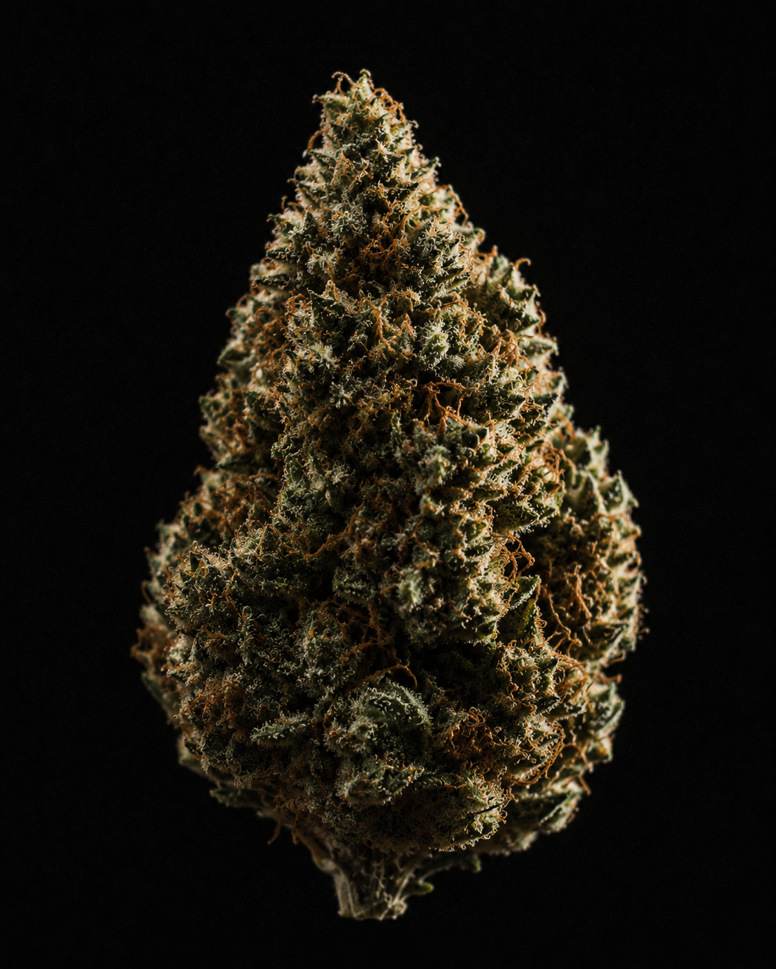Flor de CBD